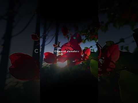 Teri In Bahon Mein Teri Panahon Mein ❤️‍🩹💫|| Lofi Status | Love WhatsApp Status | Aesthetic Status