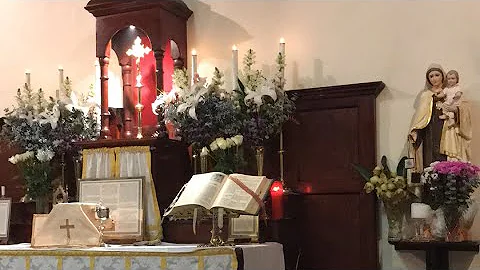 Traditional Latin Mass Tuesday 15 August 2023 @St Anne’s - THE ASSUMPTION OF THE BLESSED VIRGIN MARY