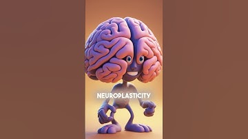 Moldable Minds: The Magic of Neuroplasticity