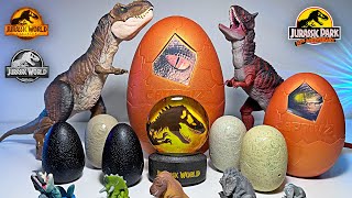 Hatching NEW Jurassic World Dinosaurs! TRex, Carnotaurus, Indominus Rex, Triceratops, Stygimoloch