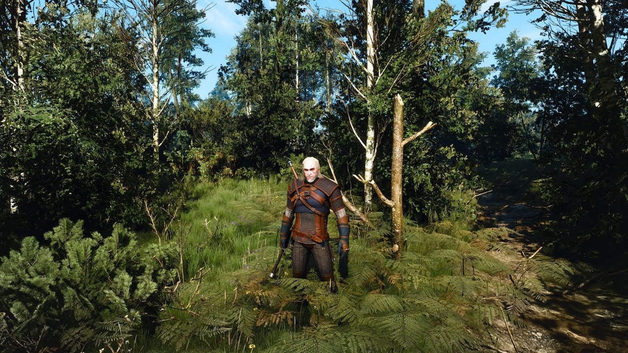 it-was-hidden-in-the-bushes-and-i-hadn-t-seen-it-before-witcher-3