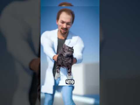 Суперспособность кошек: можно ли выжить при падении с огромной высоты?