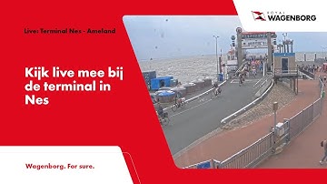Live: Terminal Nes - Ameland