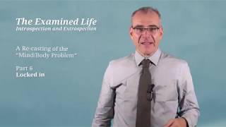 A Re-casting of the Mind/Body Problem: 6. Locked in
Part of the free online course Know Thyself. On the Value and Limits of Self-Knowledge: The Examined Life
Sign up free with Coursera:
https://www.coursera.org/learn/know-thyself-the-examined-life
Check our website for more info: https://www.ed.ac.uk/ppls/philosophy/research/impact-and-outreach/free-online-courses/know-thyself
Editing: Simon Fokt & Natalie Chisholm
CC By SA 3.0 A Re-casting of the Mind/Body Problem: 6. Locked in