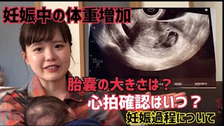 妊娠過程 妊娠発覚の日 胎嚢が見えた日 心拍が聞けた日 性別が分かった日 初投稿 Youtube