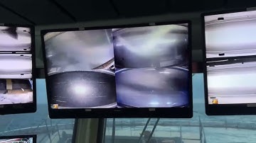 AI ERO Fish Counter live demo