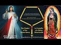 Coronilla de la divina misericordia ingles subttulos  divine mercy chaplet spanish subtitles