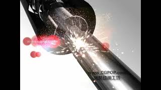 CGPOP D06
