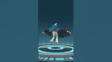 Shiny Rowlet Evolution: The Rise of the Black-Winged Archer #pokemongo #shinypokemon #evolution