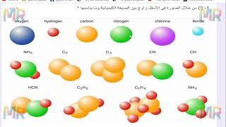 حل اختبار قصير أول علوم للصف الثامن