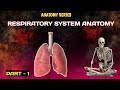 #lungs Respiratory system anatomy Part 1 | lungs | Respiratory system ka anatomy | lung anatomy |