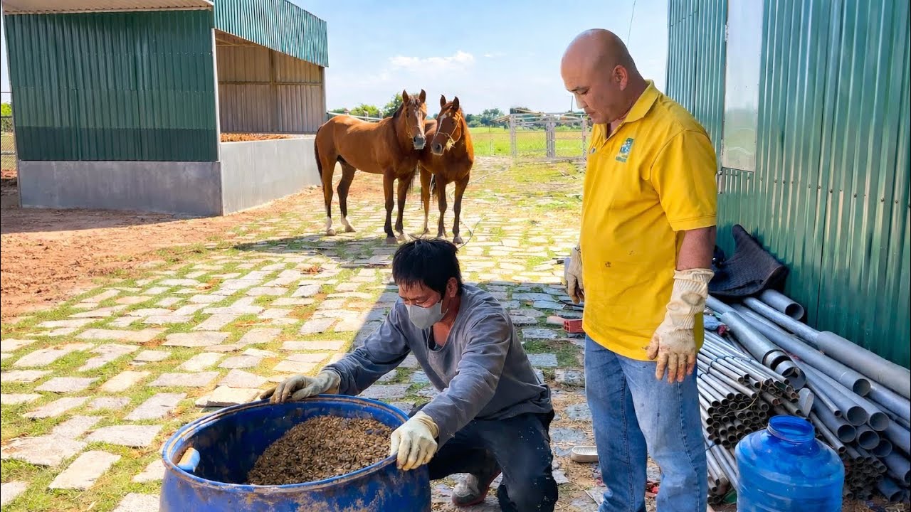 HỌC ANH MẾN TRỘN THỨC ĂN CHO TRIỆU PHONG VÀ HỒNG CHÂU 
