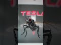 Will Tesla fund on the spy fly projects