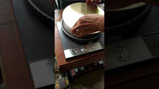 Garrard 401 platter resonance