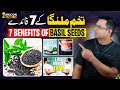 Benefits Of Basil Seeds Tukham Malanga