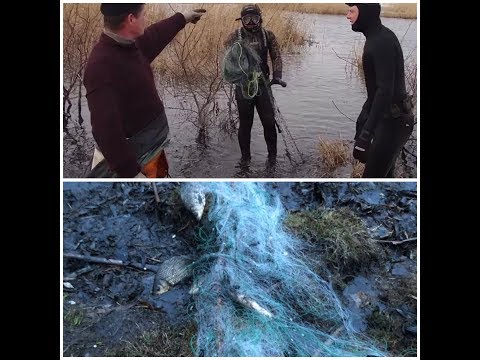 Что творят в нерестовый запрет подводные охотники! Борьба с браконьерами в нерестовый запрет!
