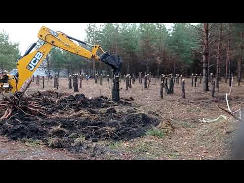 Экскаватор против пней! Начинаем выкорчевывать пни. Расчистка участка Часть2