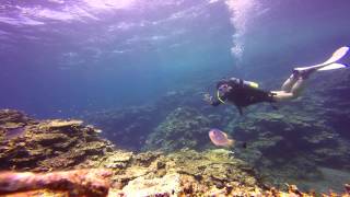 Japan Ishigaki Diving 20150611
