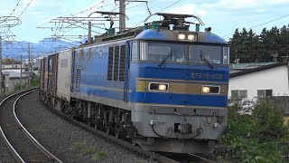 【4K】EF510-508  3099レ  元北斗星牽引機  2024/10/17　　#EF510 　#北斗星色