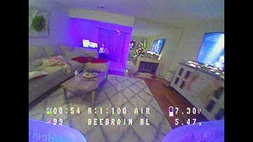 perfectlanding! BeeBrain Brushless 2S indoor RIIIIPPP