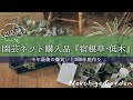 《園芸ネット購入品／22品種》日向～日陰向きまで宿根草･低木までおすすめ品種を一挙ご紹介！暑さに強い宿根草～シェードガーデン向きまで