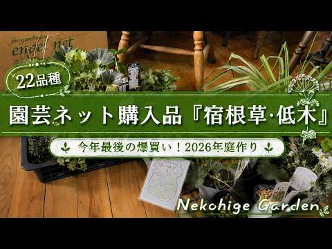 Gardening Online Purchases/22 Varieties》Introducing recommended