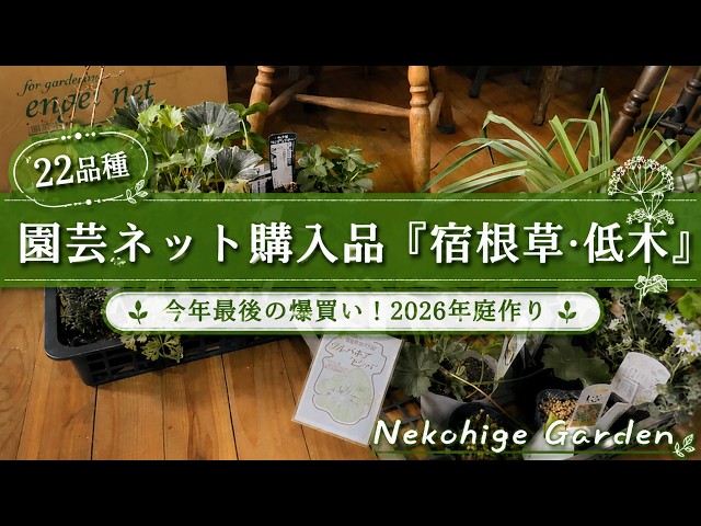 Gardening Online Purchases/22 Varieties》Introducing recommended