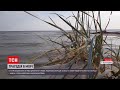 Новини України: у морі загинув 8-річний хлопчик, його з батьком віднесло на матраці