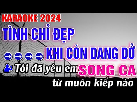 Tình Chỉ Đẹp