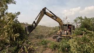 Excavator Cat Forest Clearing And Plantation