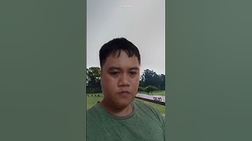 tìm thấy tổ ong mật trong hang #animals #bee