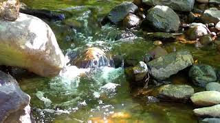 Morning Vibes - Relaxing Piano Music • Nature Sounds | Relaxing sound of running water by Miracle Music 19,556 views 2 years ago 1 hour, 1 minute