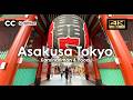 Asakusa : Original Tokyo | Kaminarimon, Nakamise Dōri Street, Senso-ji Temple & Street Food