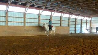 MVI_0474.AVI