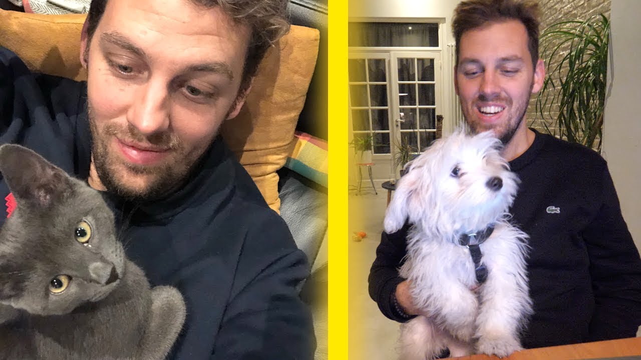 24h avec un chat VS 24h avec un chien