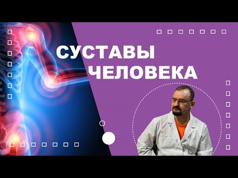 Суставы человека и их подвижность