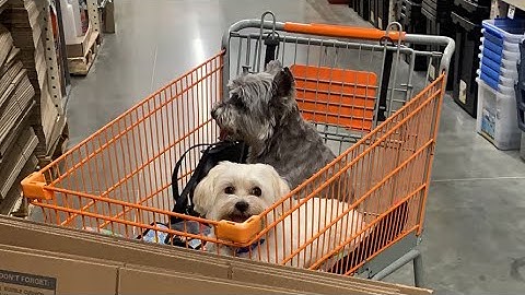 How to say shopping cart in Vietnamese