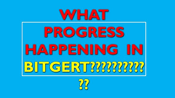 BITGERT | BRISE COIN PROGESS TILL DATE