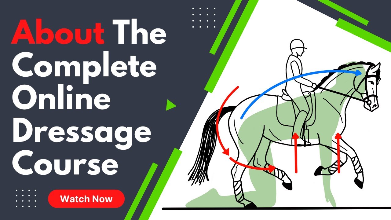 About The Complete Online Dressage Course | How To Dressage