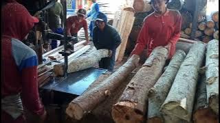 kayu sengon dari truk pengiriman langsung sawmill