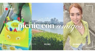 Life in Korea Diaries: picnic con Amigos & comprando en Daiso.