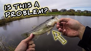 Download lagu The PROBLEM That NOBODY Wants to Talk About in Bass Fishing How to Justify Catching Dinks The PROBLEM That NOBODY Wants to Talk About in Bass Fishing How to Justify Catching Dinks