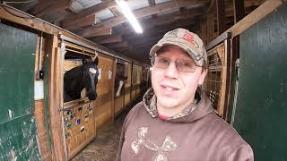 Meeting ALL Our HORSES & Some HISTORY On Our HORSE STABLE