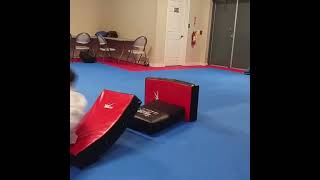 Our 4 year old L'il Tiger students doing forward jump roll