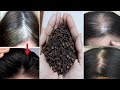 White Hair ➡ Black Hair Naturally Permanently with Clove // Get rid gray hair naturally in 3 weeks