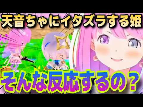 【ぷちホロの村】天音ちゃにイタズラして嬉しそうなルーナ姫【ホロライブ/姫森ルーナ/切り抜き】