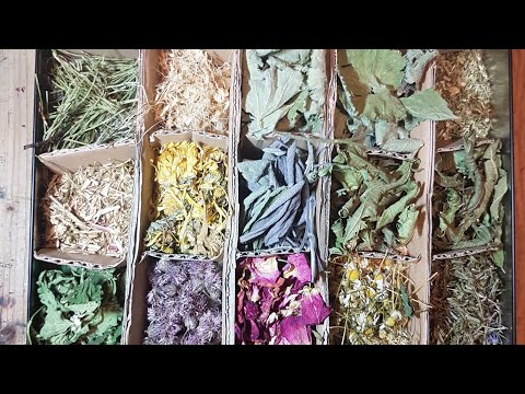 Video: 7 Nuttige Kruiden Voor Aromatische Thee