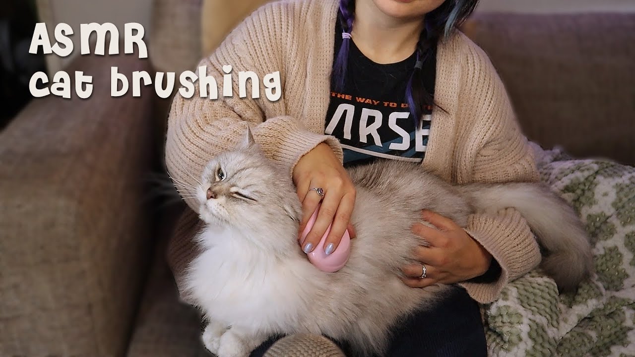[ASMR] Relaxing Cat Petting & Brushing Session 🐱 (Purrs & Whispers ...