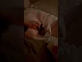 Easel (IN FOSTER) video