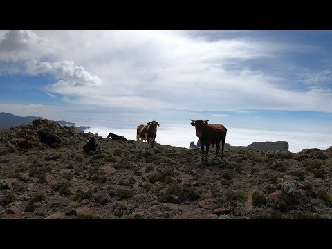 Mafadi 2019. Climb to the highest point in South Africa